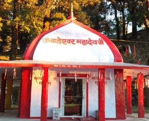 प्राचीन ऐतिहासिक शक्ति स्थल बाड़ीधार में इस वर्ष नहीं होगा देव मिलन