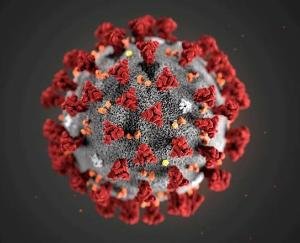 राजधानी शिमला में एक ही परिवार के 4 सदस्य कोरोना पॉजिटिव