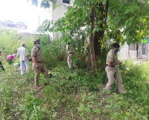 कुनिहार पुलिस ने छेड़ा भांग उखाड़ो अभियान