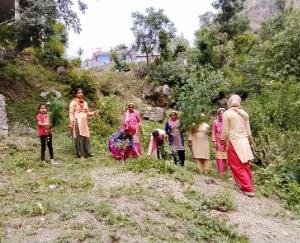 महिला मंडल ताल ने पेयजल स्रोत किए साफ, नशीली व जहरीली घास एवम झाड़ियों को भी काटा