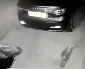 बिलासपुर औद्योगिक क्षेत्र में तेंदुए की आमद से दहशत