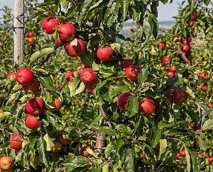 बाहरी राज्यों से आने वाले कामगारों एवं श्रमिकों को ‘वन टाईम’ अंतरराज्यीय प्रवेश की अनुमति