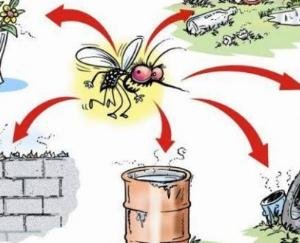 जलजनित एवं अन्य रोगों की रोकथाम के सम्बन्ध में बैठक आयोजित