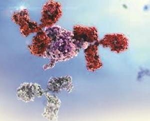 शिमला में आया कोरोना का एक और मामला 