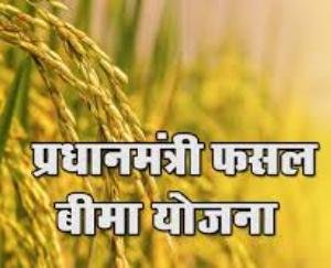 फसल बीमा योजना के तहत बीमा करवाने की अंतिम तिथि 15 जुलाई, 2020 तक निर्धारित