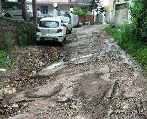 धर्मपुर से भेड़ें खेच जानी वाली सड़क ने लिया नाले का रूप, स्थानीय लोग परेशान 