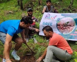 करसोग के बेलुधार में पौधरोपण कार्यक्रम आयोजित