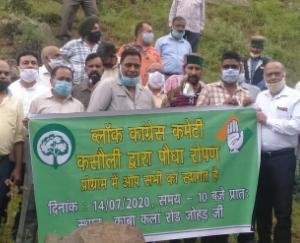 ब्लॉक कांग्रेस कमेटी कसौली ने किया पौधरोपण 