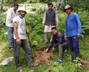 नावर कांग्रेस व नावर युवा कांग्रेस ने टिककर पंचायत में किया पौधरोपण 