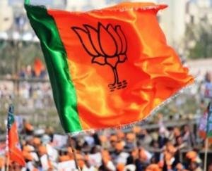 जुब्बल कोटखाई भाजपा आईटी विभाग की कार्यकारिणी घोषित