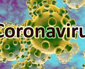 उप सचिव का कोविड टेस्ट पॉजिटिव।