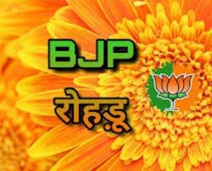 रोहड़ू भाजपा ने किया आईटी कार्यकारिणी का गठन