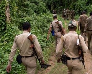 काेराेना संकट ने राेकी 153 फाेरेस्ट गार्ड भर्ती