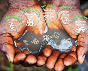 जल जनित रोगों से स्वास्थ्य पर पड़ने वाले दुष्प्रभाव व उनका बचाव