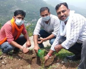 भाजपा युवा मोर्चा अर्की ने किया वन महोत्सव कार्यक्रम का आयोजन