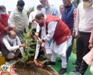 पर्यावरण संकट से निपटने के लिए पौधारोपण आवश्यक : सुरेश भारद्वाज