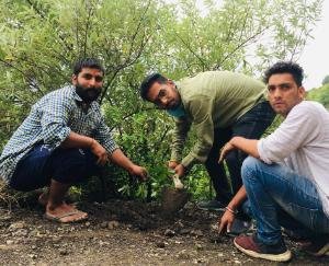 भाजयुमो सोलन ने बसाल गांव में किया वृक्षारोपण