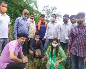 भाजयुमो अर्की ने टकसाल पंचायत में रोप 550 पौधे