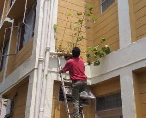 क्षेत्रीय अस्पताल बिलासपुर में सफाई अभियान शुरू 