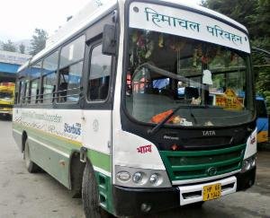 थरोला पंचायत में बस सेवा शुरू करें विधायक : कांग्रेस