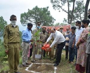 session-judge-bilaspur-inaugurates-a-plantation-campaign
