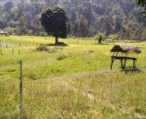 Various-crops-being-grown-on-hectares-of-land-in-the-district