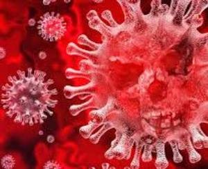 one-more-corona-positive-in-rohru