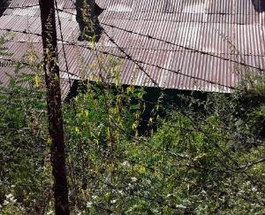 Government-should-fill-the-vacant-posts-in-Veterinary-Hospitals-of-Jubbal-Tehsil-Congress