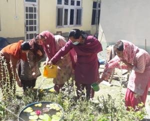 Information-about-the-kitchen-garden-given-under-the-campaign 