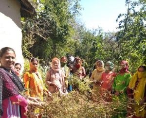 cleanliness-campaign-organized-in-dawti