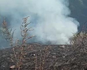 Grass-cutter-caught-fire-suddenly-in-Mashdoh