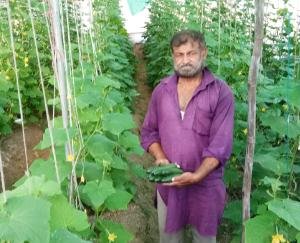 किसानों के लिए मददगार बनीं जाईका परियोजना