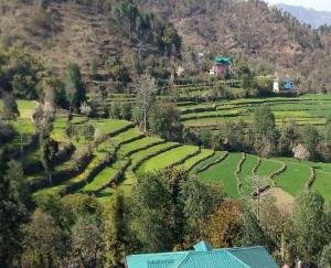 Dasran-Jalagum-Project-is-fortunate-for-farmers