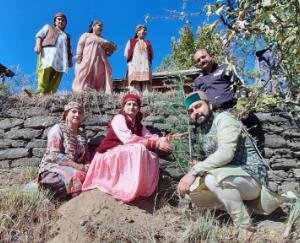 chikhad-girl-plants-tree-in-rohru
