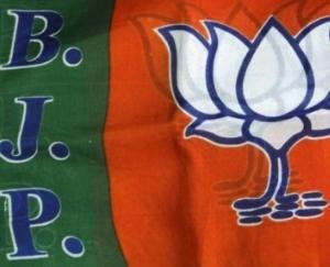 Law and Law Cell expanded the executive in the Arki