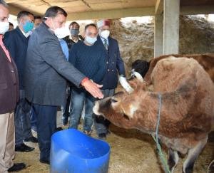 प्रदेश सरकार प्राकृतिक कृषि को बढ़ावा देने एवं भारतीय नस्ल की गाय के संरक्षण के लिए कृतसंकल्प- वीरेन्द्र कंवर