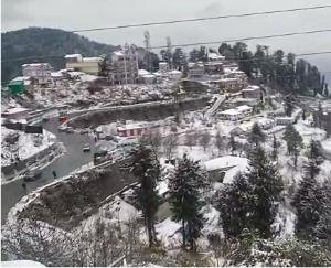 snowfall-in-kufri-Tourism-business-still-not-flourishing