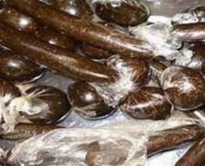 91-gram-charas-recovered-from-a-man