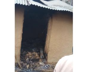 fire-in-karsog-cattle-burned-to-death