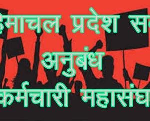 State Sarva Contract Employees Federation demands from the government