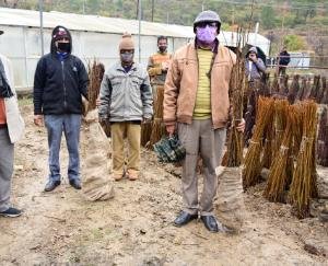 Annual-fruit-plants-sale-and-planting-advisory-held-at-UHF-Nauni