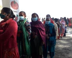 40 percent polling in development block Kunihar so far