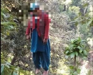 Woman hangs her tree and ends her illusion