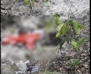 Youth's dead body found in Amb forest