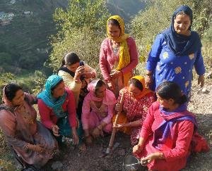 ग्राम पंचायत बागा (करोग) में पहली ग्राम सभा आयोजित