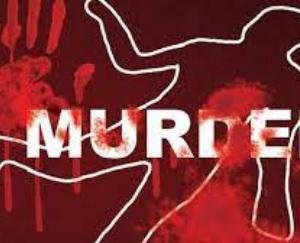Brother brutally murdered sister, injured mother IGMC Shimla Refer