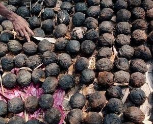 Home Minister Amit Shah did road show there on Friday