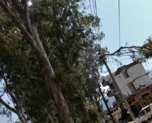 Gone are the trees that are inviting accidents in Kunihar