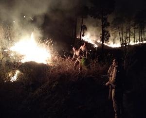 fire-kunihar-forests-16-april-2021